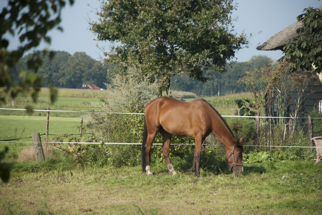De Bolderie Bed & Breakfast Markelo Bagian luar foto