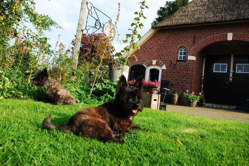 De Bolderie Bed & Breakfast Markelo Bagian luar foto